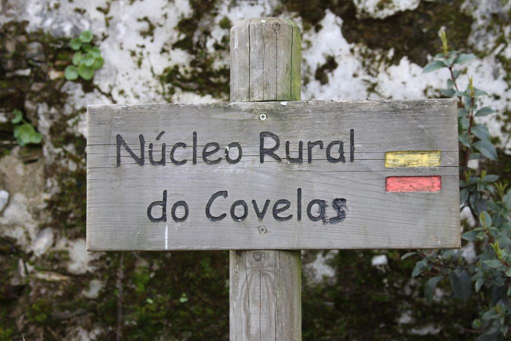 Alojamento Rural De Covelas Covelas  外观 照片